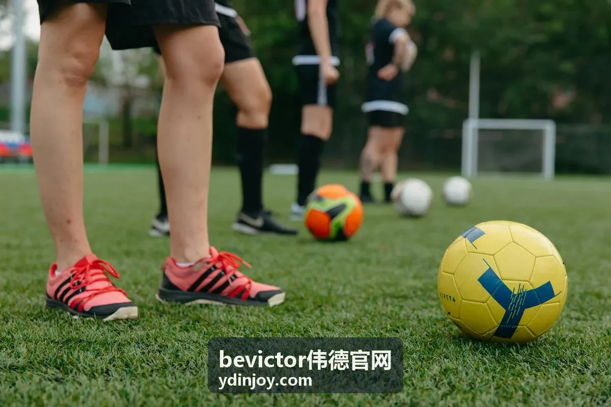 bevictor伟德 案例 金融科技